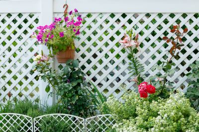 Lattice Fence Installation